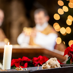 Stephanifest / Erzdiözese Wien/Schönlaub, Stephan Schönlaub