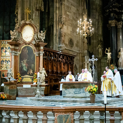 Welttag der Kranken / Erzdiözese Wien/Hafellner
