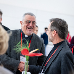 Treffen der Vikariatsräte / Erzdiözese Wien/Schönlaub Treffen der Vikariatsräte